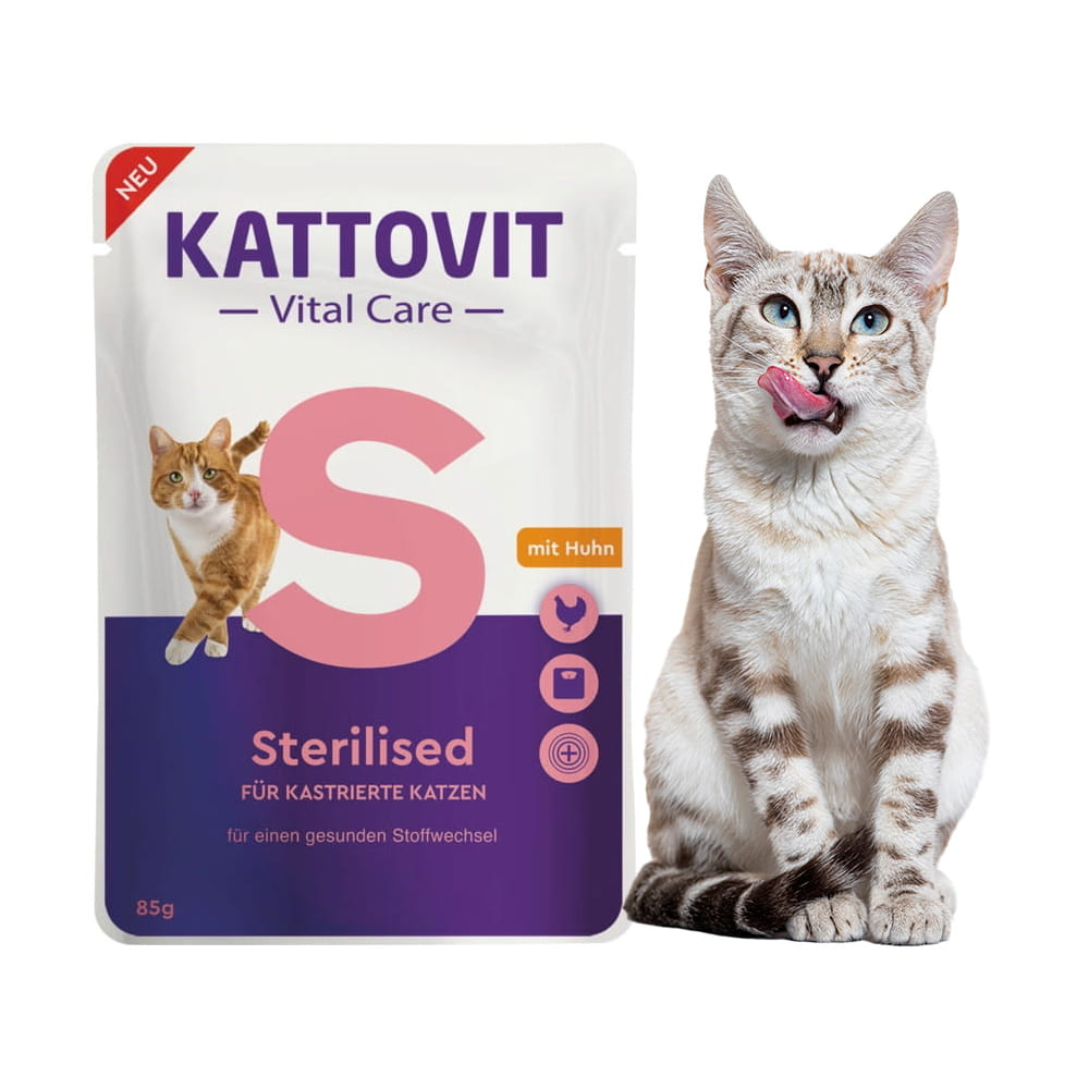 kattovit 3.jpg